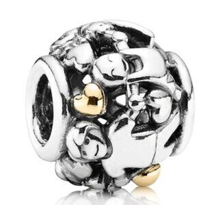 Pandora Family Forever Charm ONLY 2 in Stock